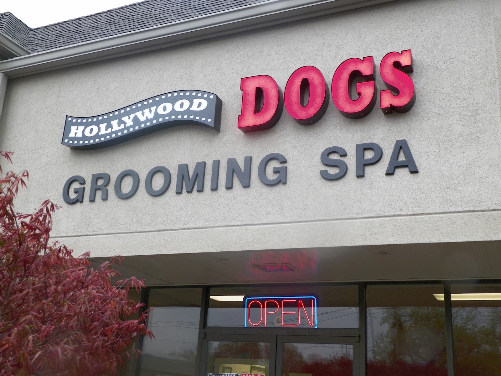 Sharing On Saving Hollywood Dogs Grooming Spa ***Honorable Mention
